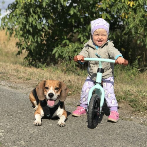 Kaufempfehlung: Laufrad von Bandits & Angels