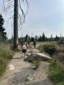 Wanderung auf den Brocken über den Goetheweg