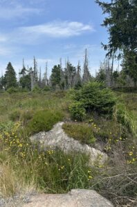 Wanderung auf den Brocken über den Goetheweg