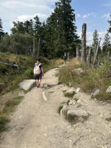 Aufstieg über den Goetheweg zum Brocken